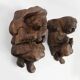 Hand-Carved Oak Wall Figure of a man, France ca. 1850