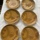 Set of 6 fish plates from the vintage revernay workshops