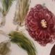 Old slip plate - Choisy le roy flower decoration