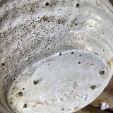 Accolay pitcher