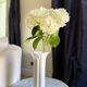 large porcelain vase - Arzberg Germany