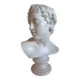 Head of a young man, plaster bust