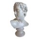 Head of a young man, plaster bust