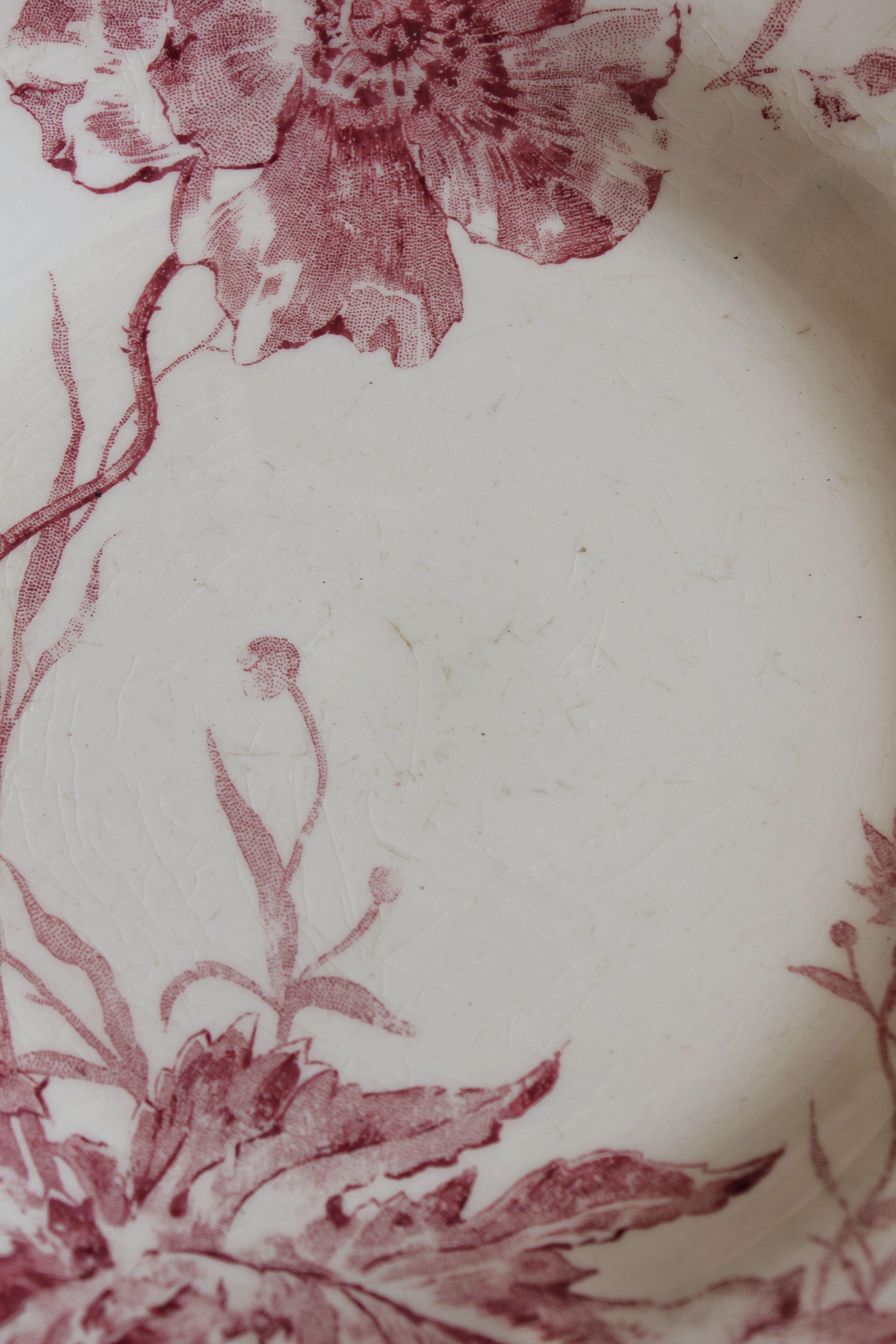 4 plates in iron earth opaque poppies, from Gien