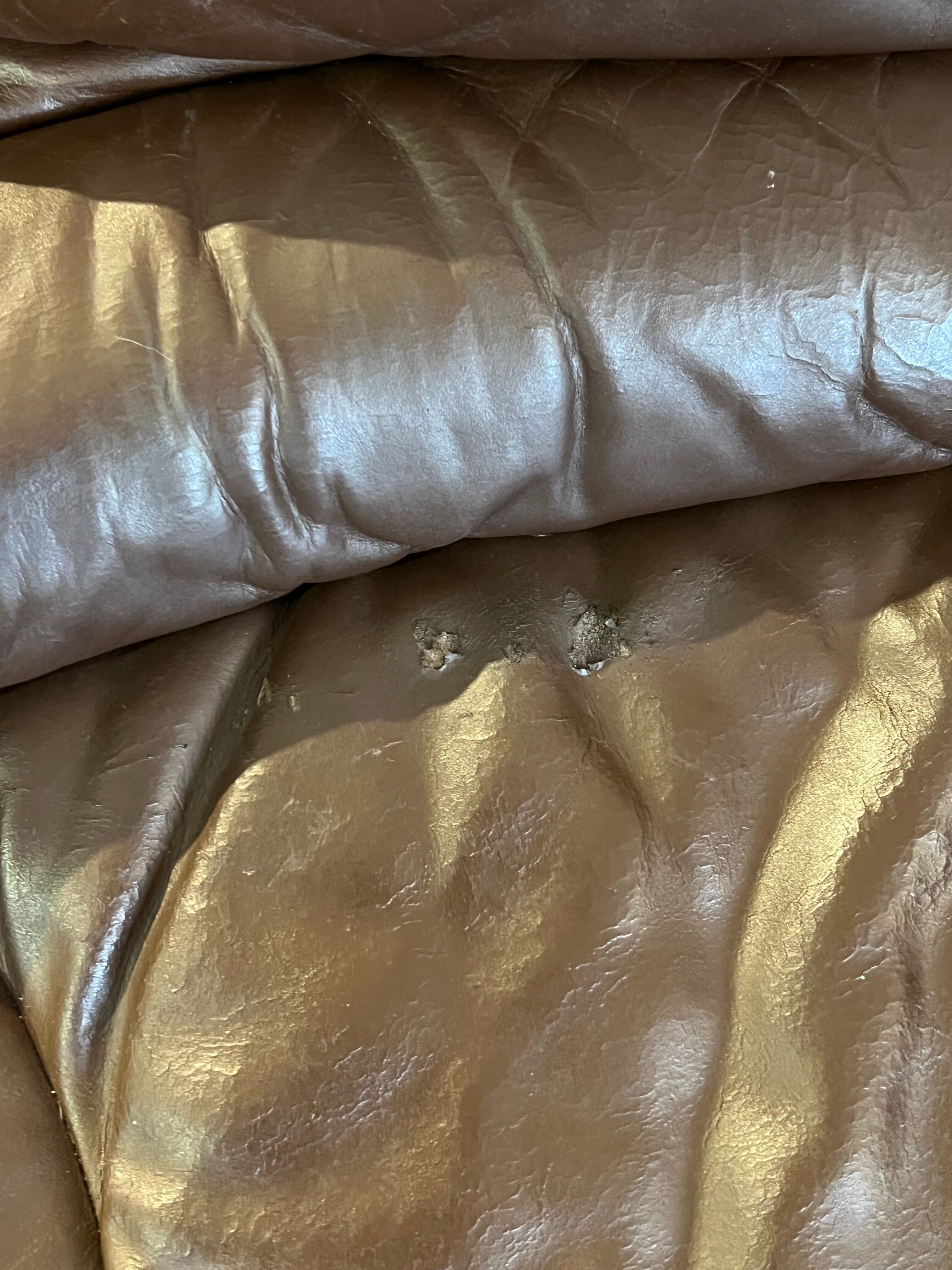 Terrazza sofa by Ubald Klug for De Sede Switzerland 1973