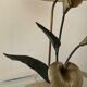Vintage lamp in travertine and bronze 70s