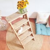 Old stepladder