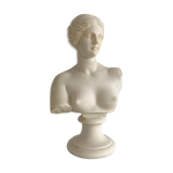 Greek bust in resin