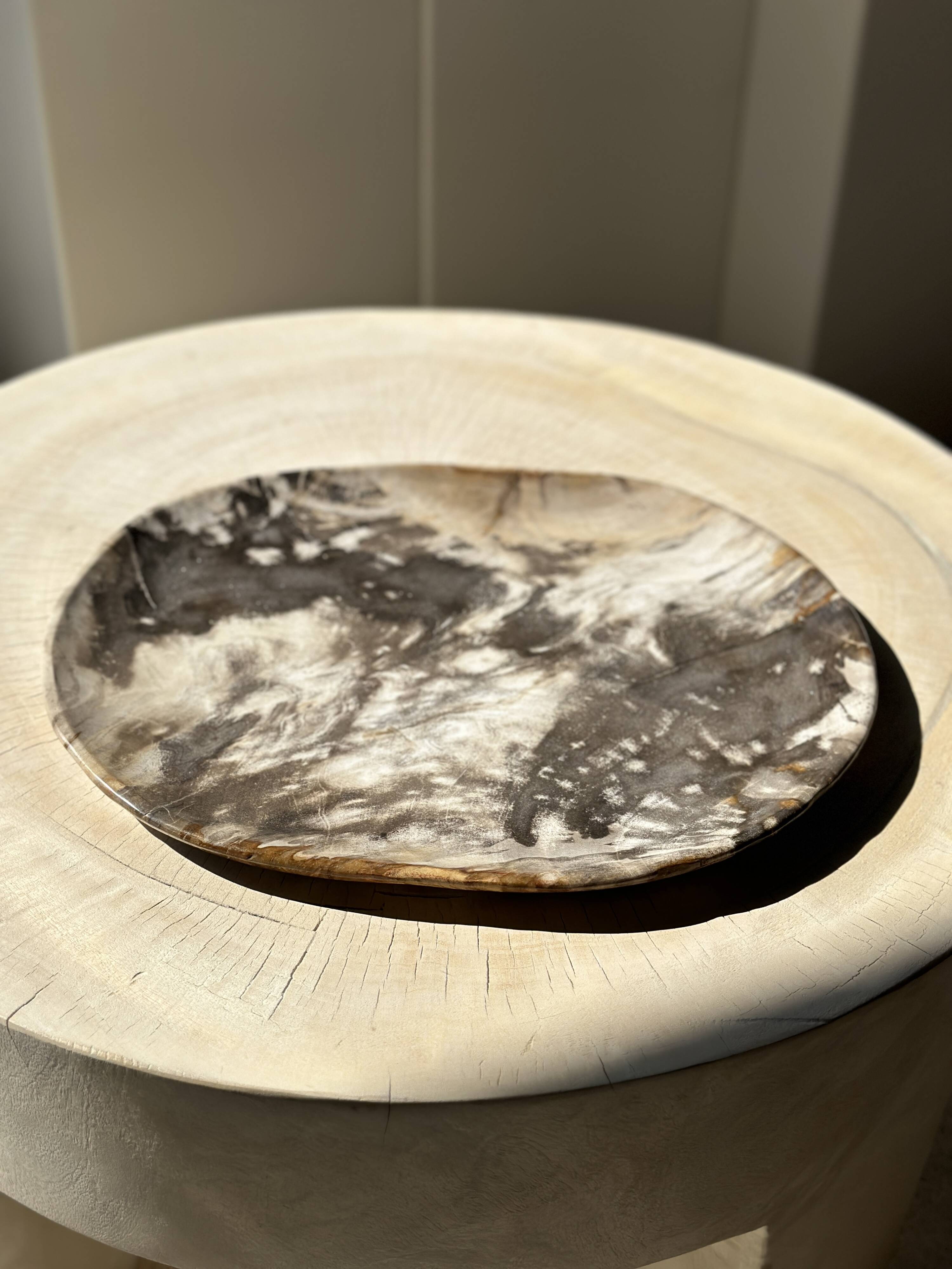 Very large pocket or dish in petrified wood