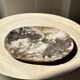 Very large pocket or dish in petrified wood
