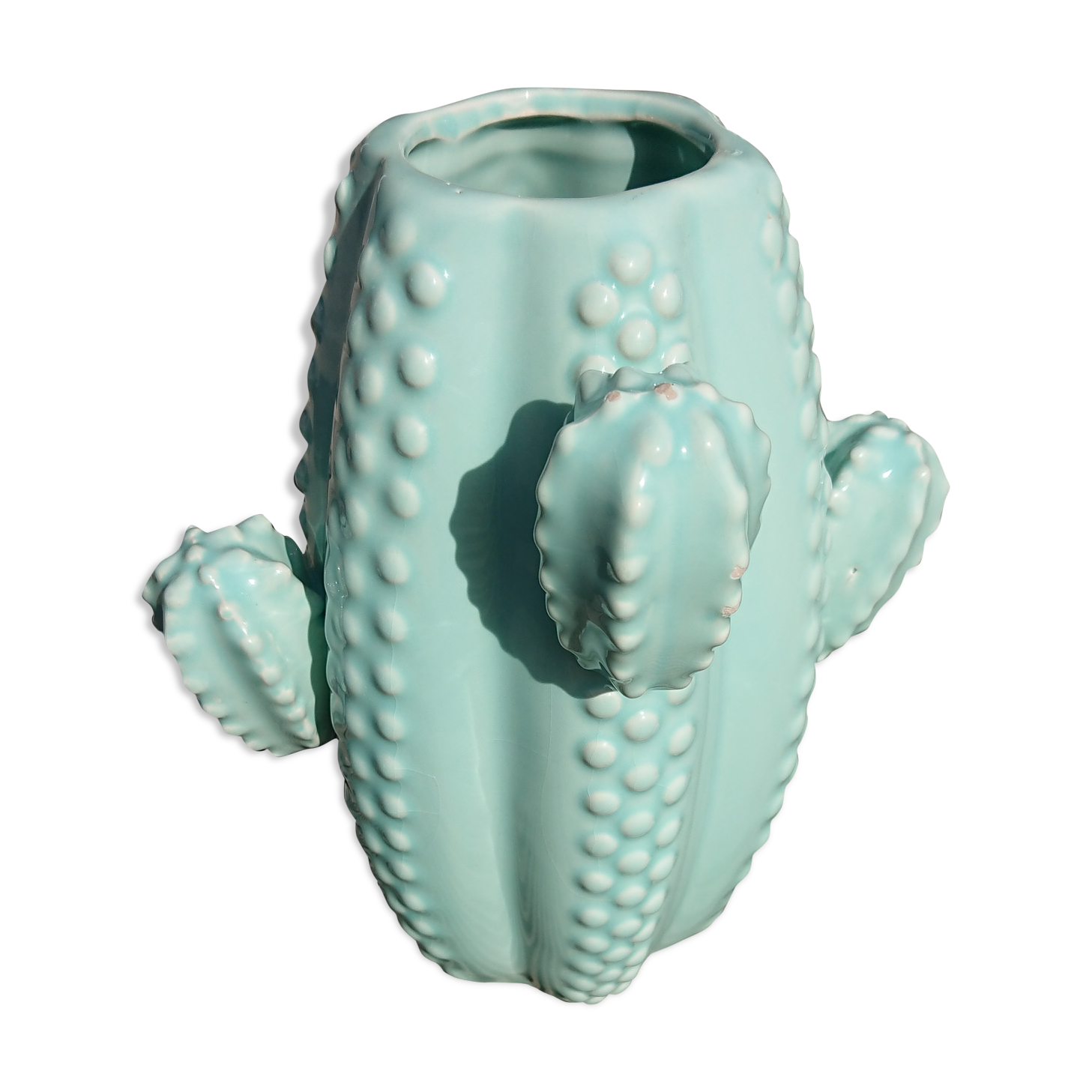 Cactus vase