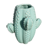 Cactus vase