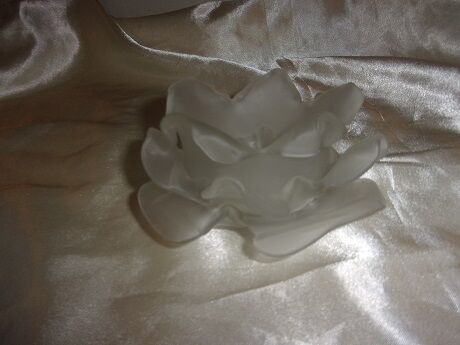 Ancient tulip in pink-shaped glass pate