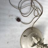 Floor lamp leaves palm