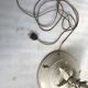 Floor lamp leaves palm