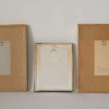 vintage pink botany lithographies