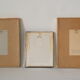 lithographies de botanique roses vintage