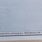 School poster wall map rossignol montmorillon le monde vegetation 1-2