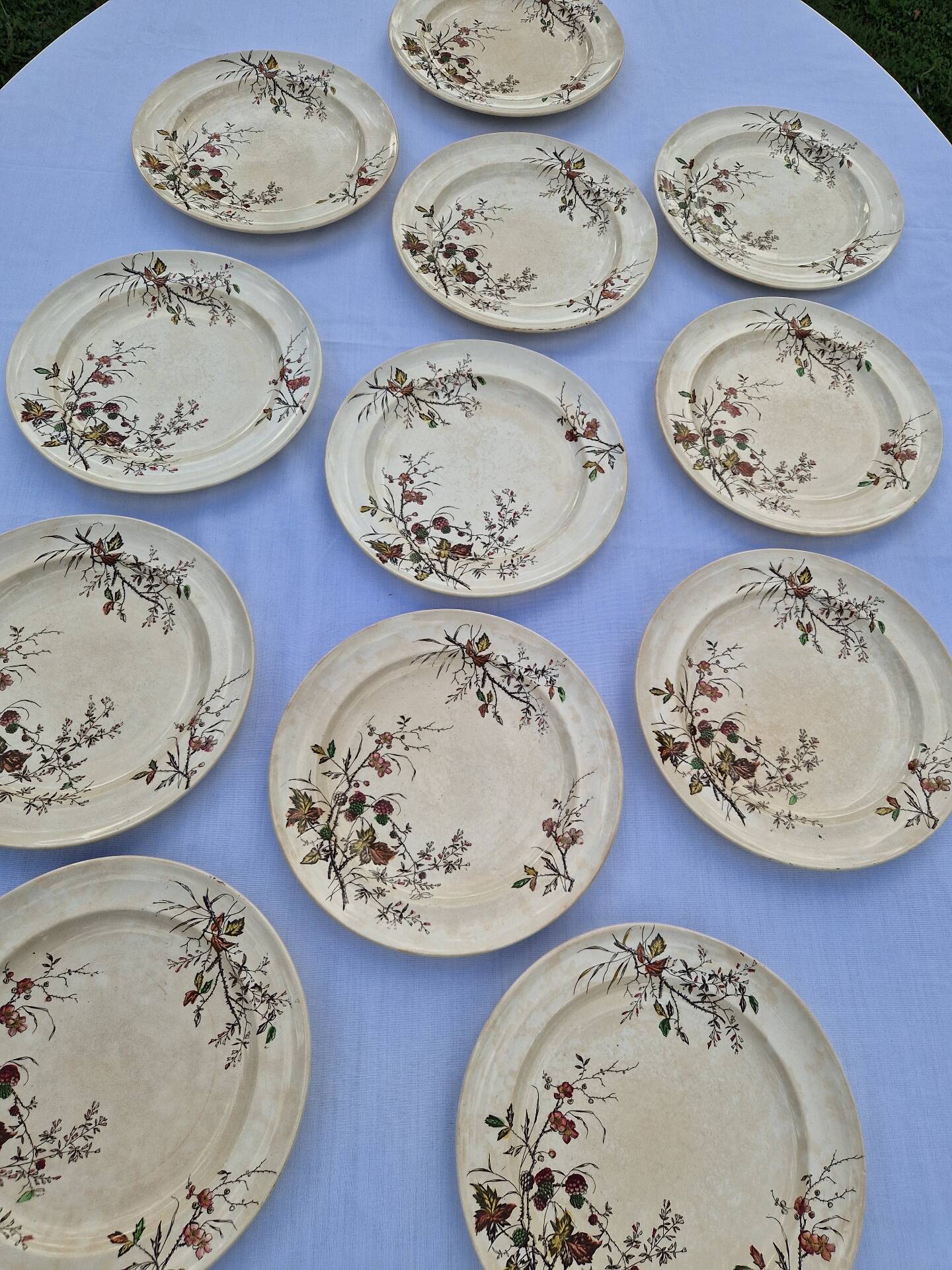Set of 12 Terre De Fer Plates Manufacture Moore & Co Model Como