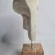 Eye of Michelangelo's "David", vintage cast after Brucciani, on base, 27 cm