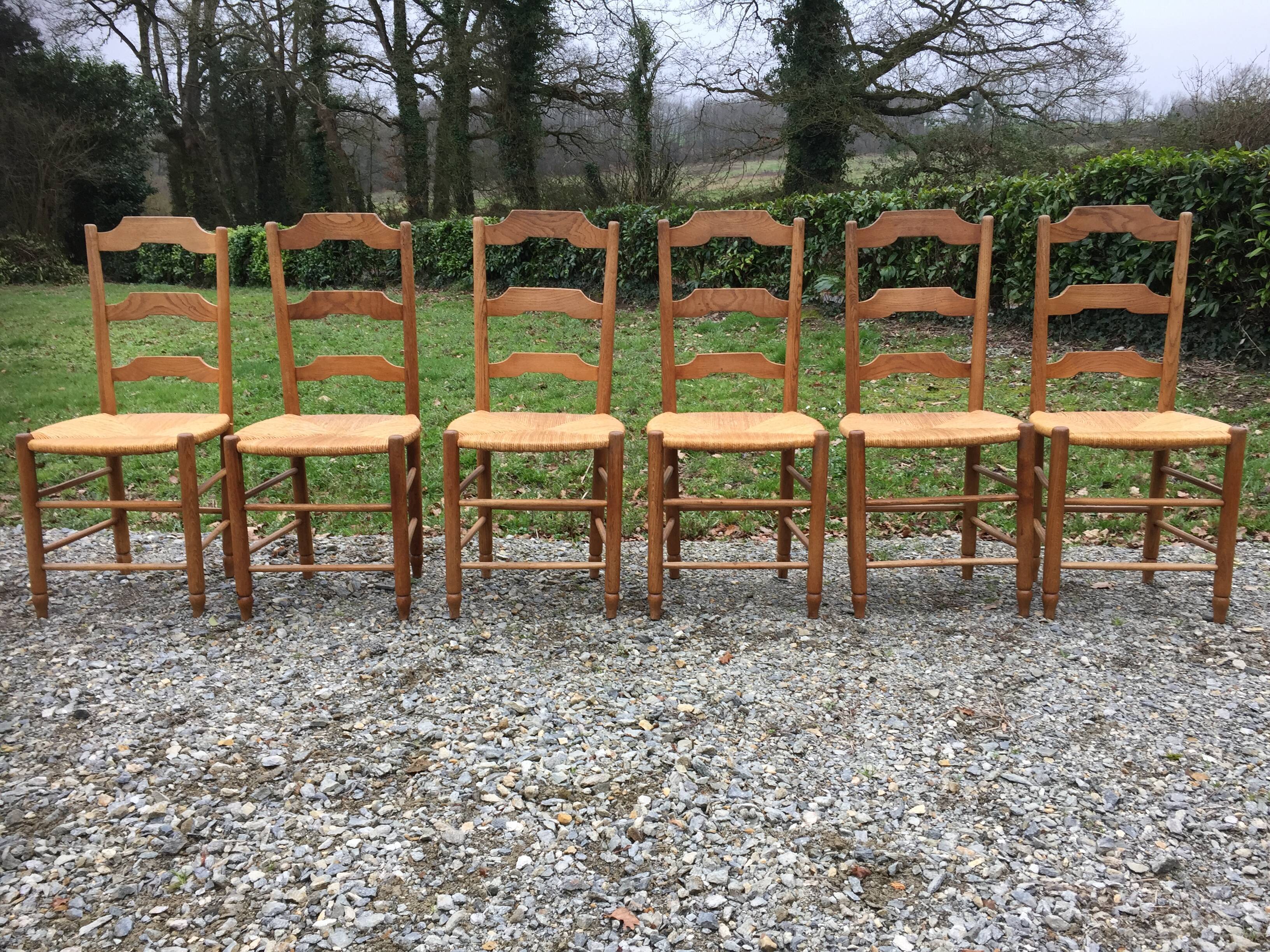 6 vintage mulched oak chairs