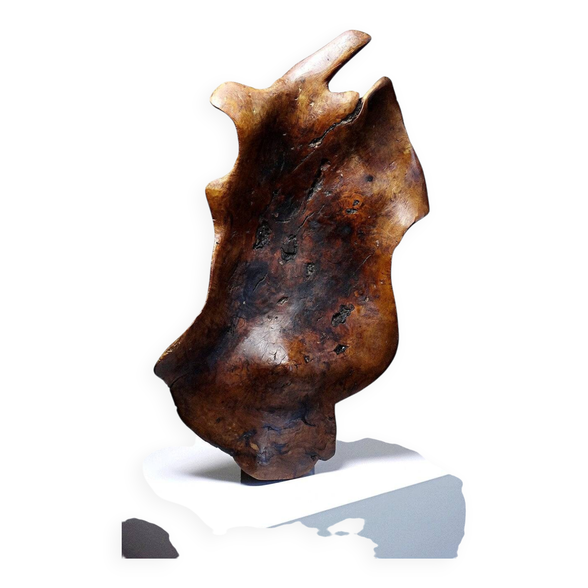 Large monoxyl bowl in dark raw olive wood from the 50s