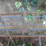Florist in staircase jardniere