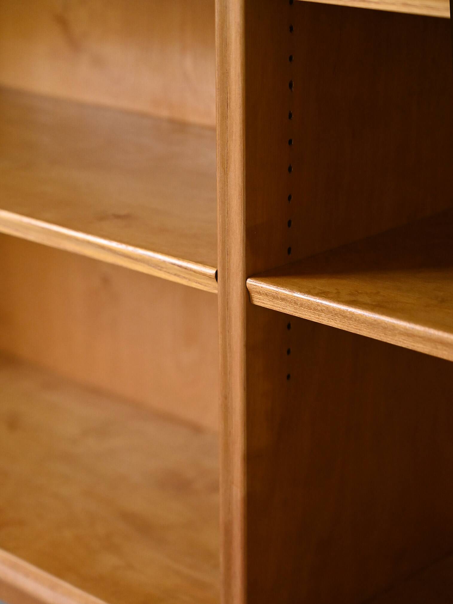 Vintage 1950s bookcase with adjustable shelves