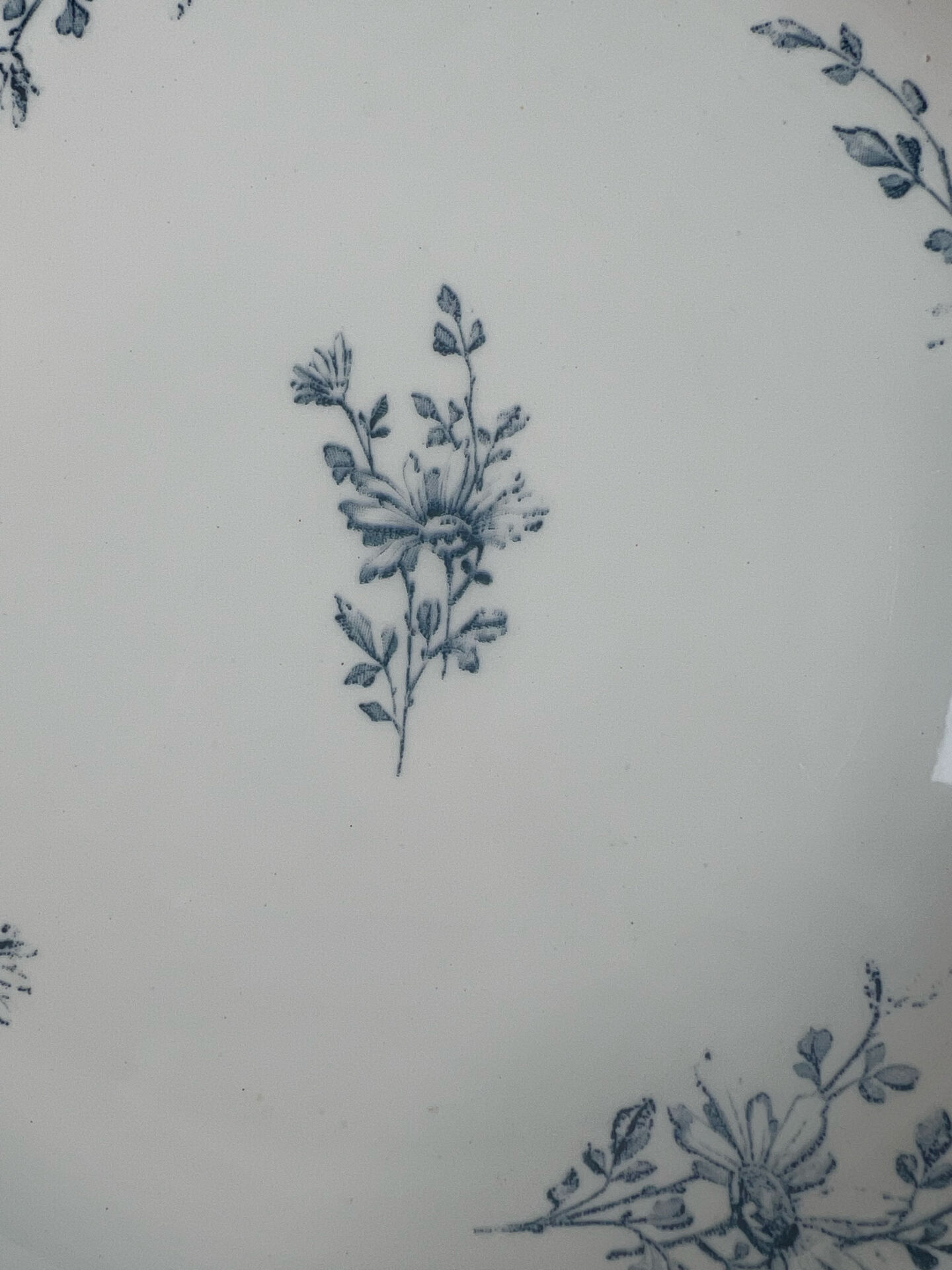 Lunéville Presentation plate