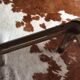Glass and brass coffee table