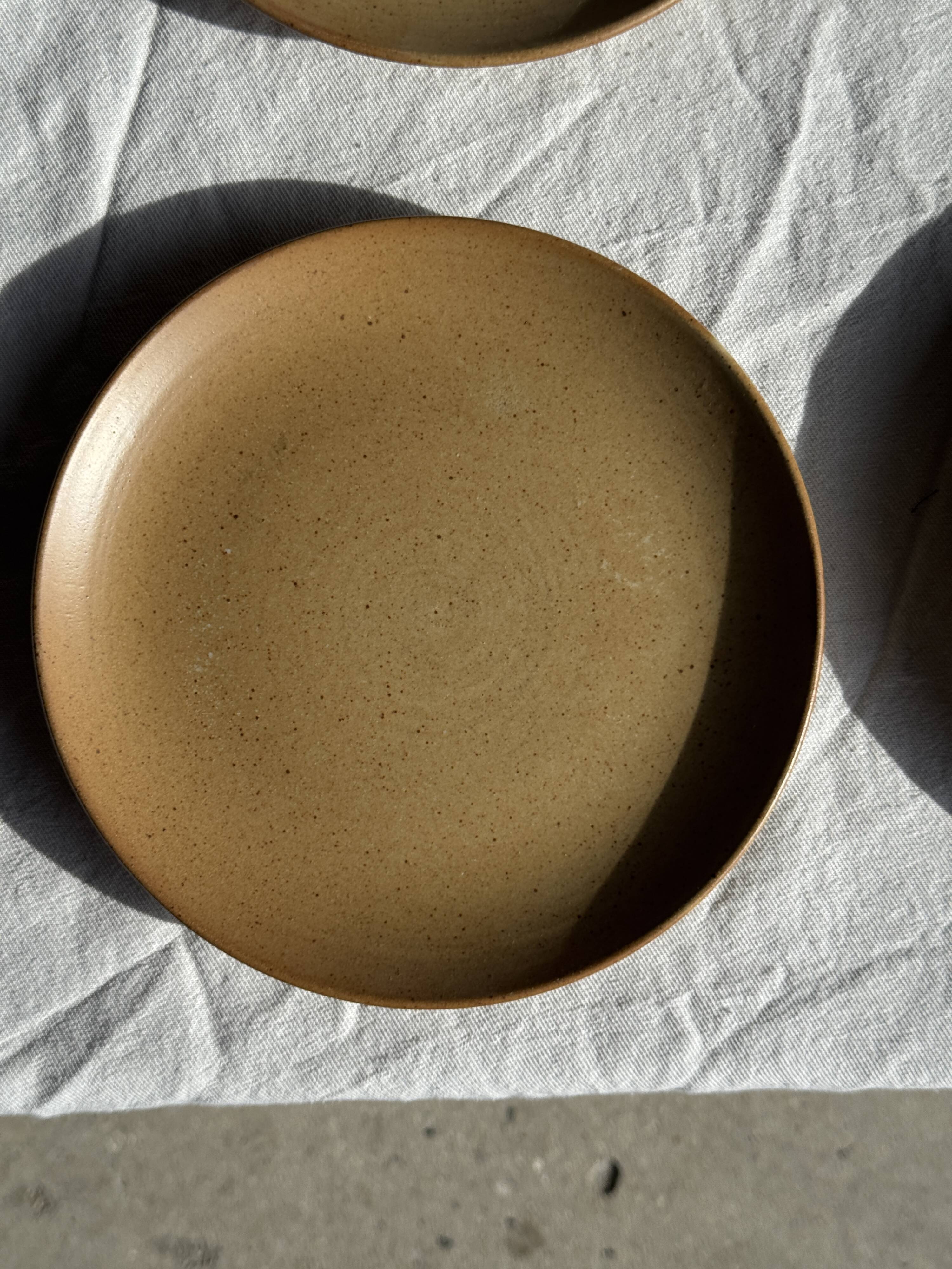 Set of 6 dessert plates in stoneware Village France D20