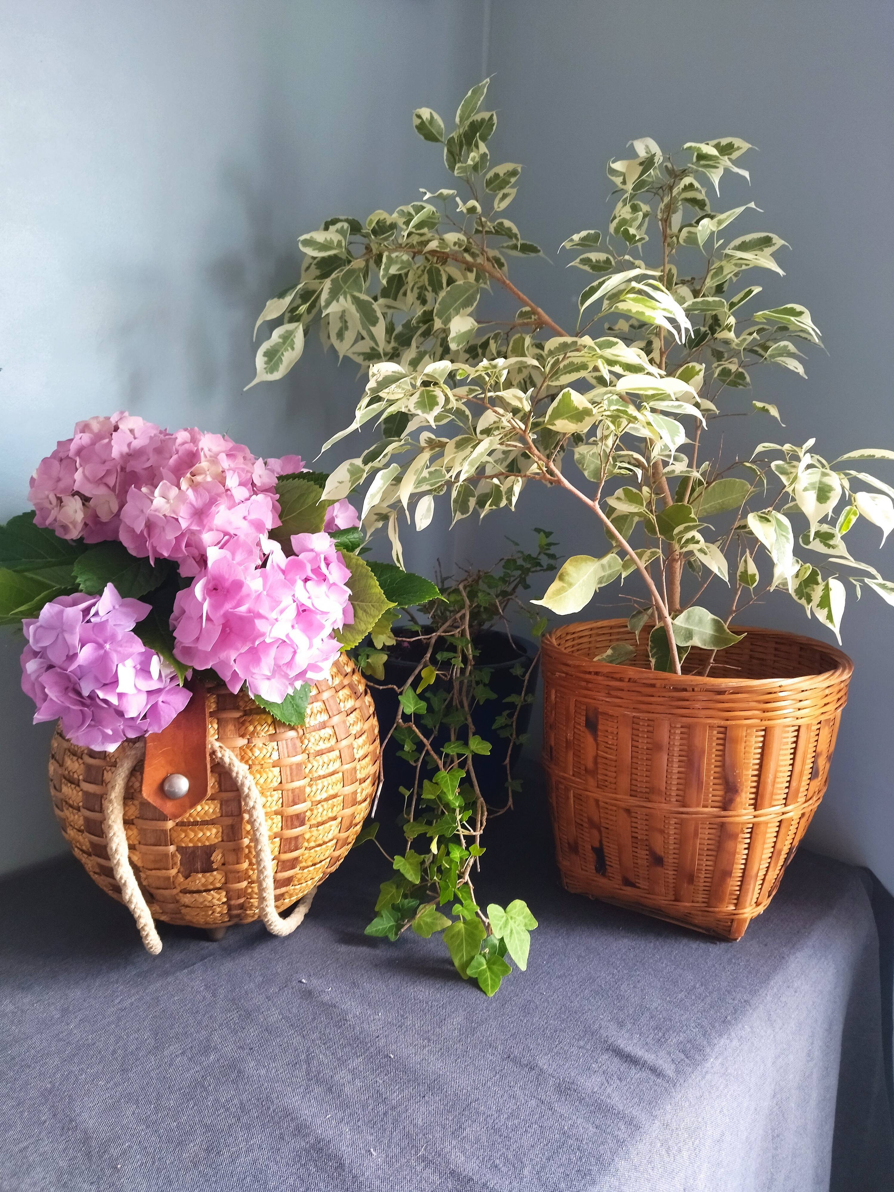 Vintage rattan pot cover