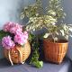 Vintage rattan pot cover