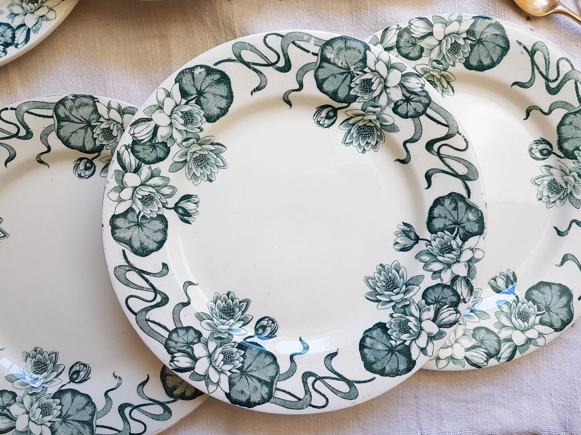 Lot de 6 assiettes plates Terre de Fer "Nénuphar" R&A Salins