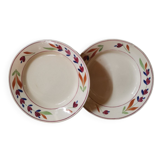 Set of 2 vintage plates hand-painted flower pattern Gien France jeannine