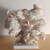 Antique white coral adorned with pink seashells