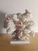 Old white coral adorned with pink shells.