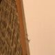 Revamped vintage chest of drawers