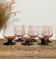 6 petits verres roses à pied noir