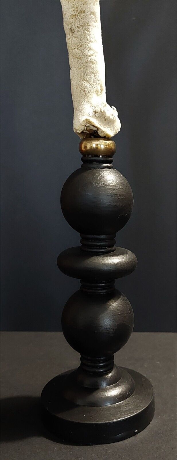 Cabinet of Curiosities sponge spongilla lacustris on pedestal