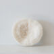 Corail ancien