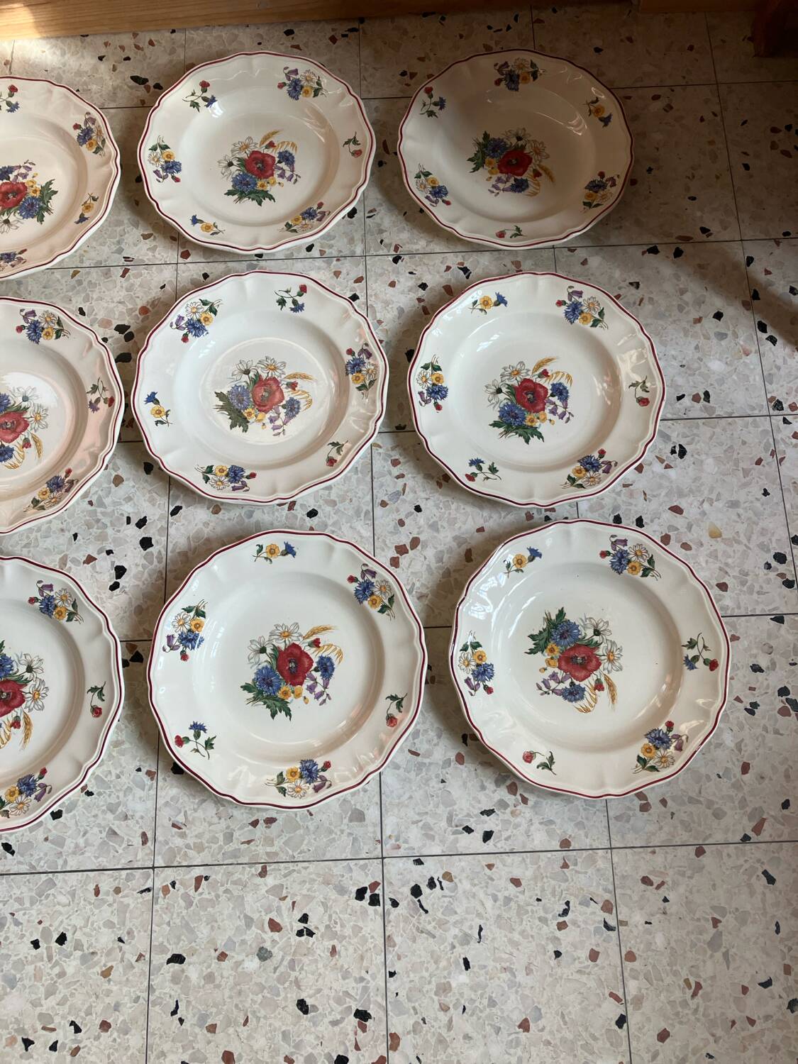 9 Sarreguemines soup plates