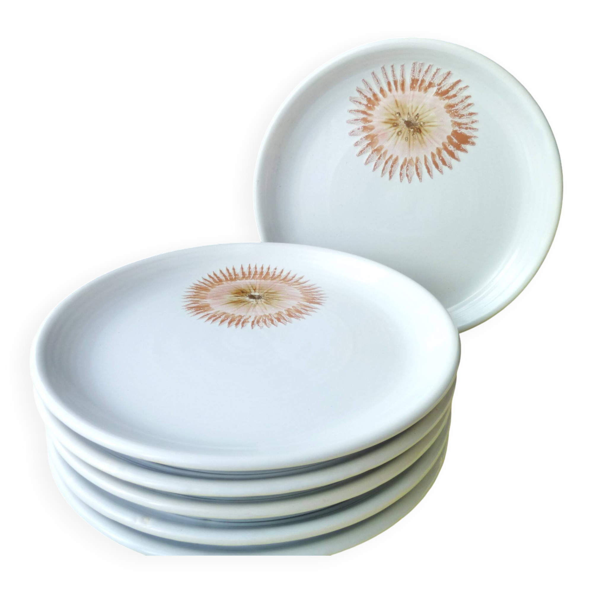 6 Assiettes plates de la faïencerie de St Amand 1713  Vintage