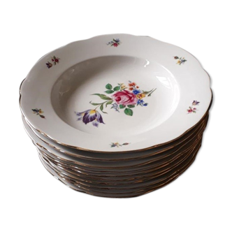 Series of 10 hollow plates in German porcelain Bavaria