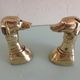 Pair of greenhouse books Greyhound brass heads 60/70