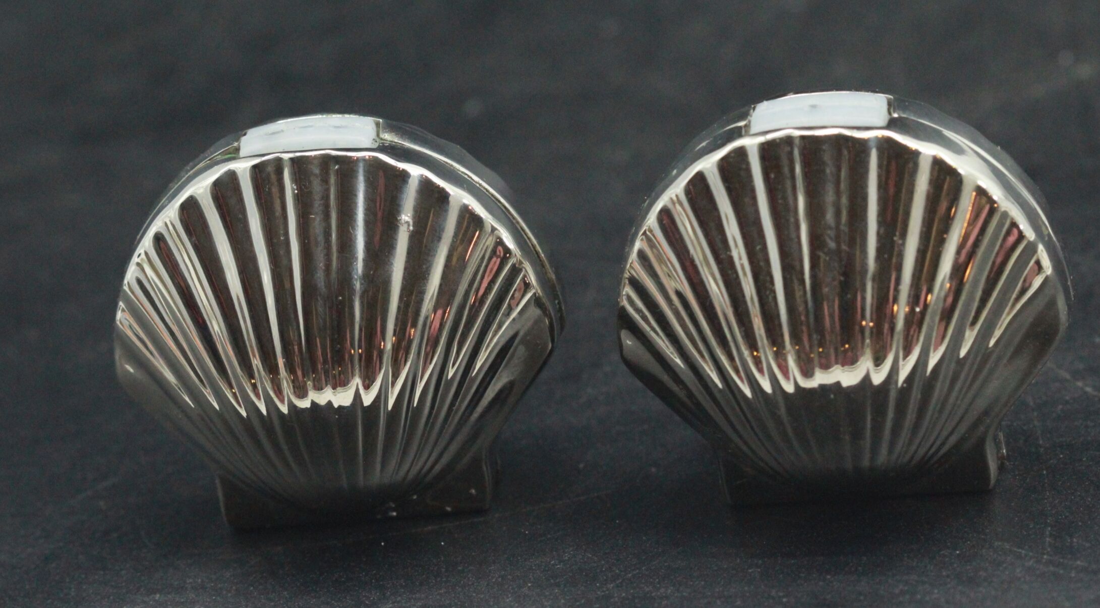 Salt shaker and shell pepper shaker