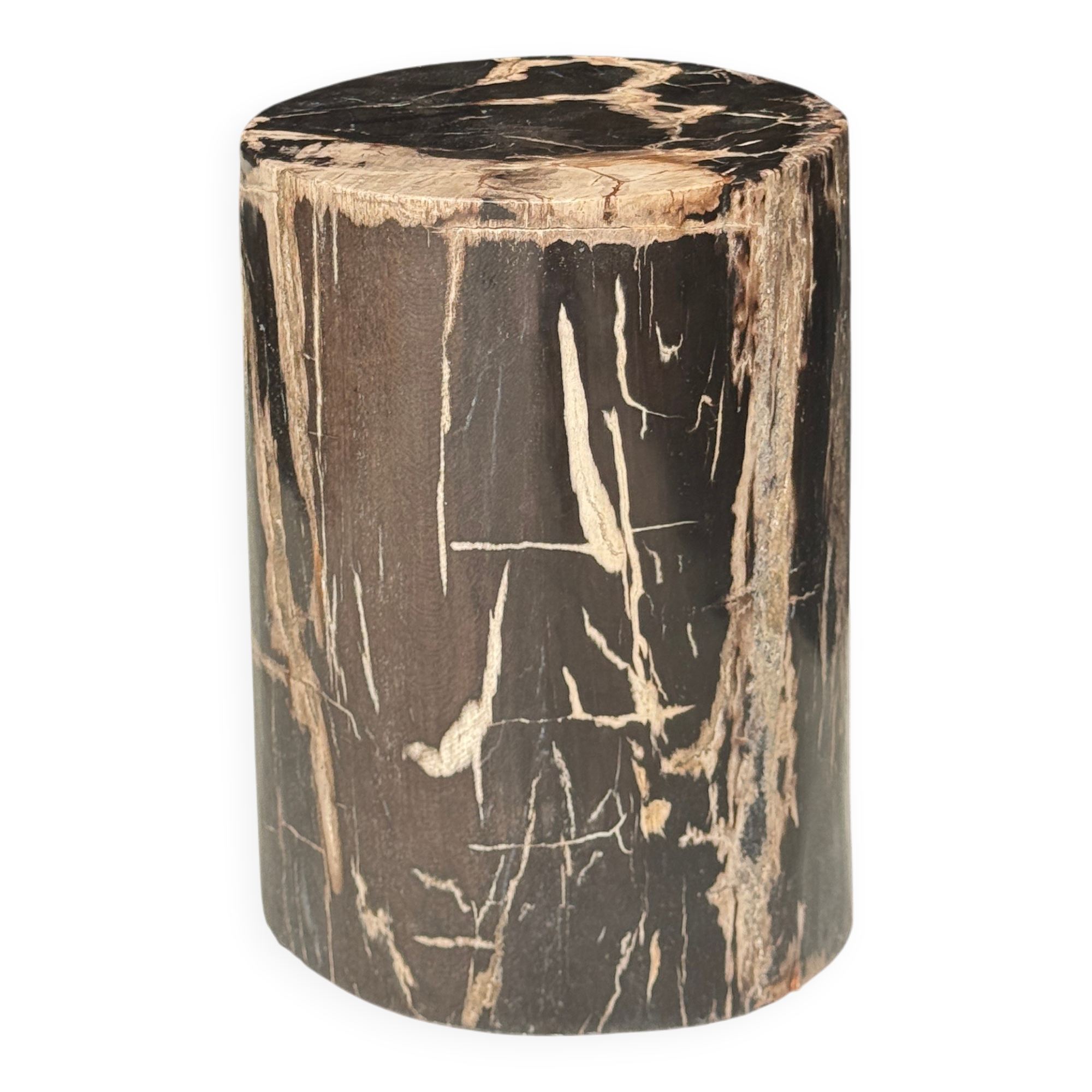 Black petrified wood side table with beige stripes and a semicircular shape.