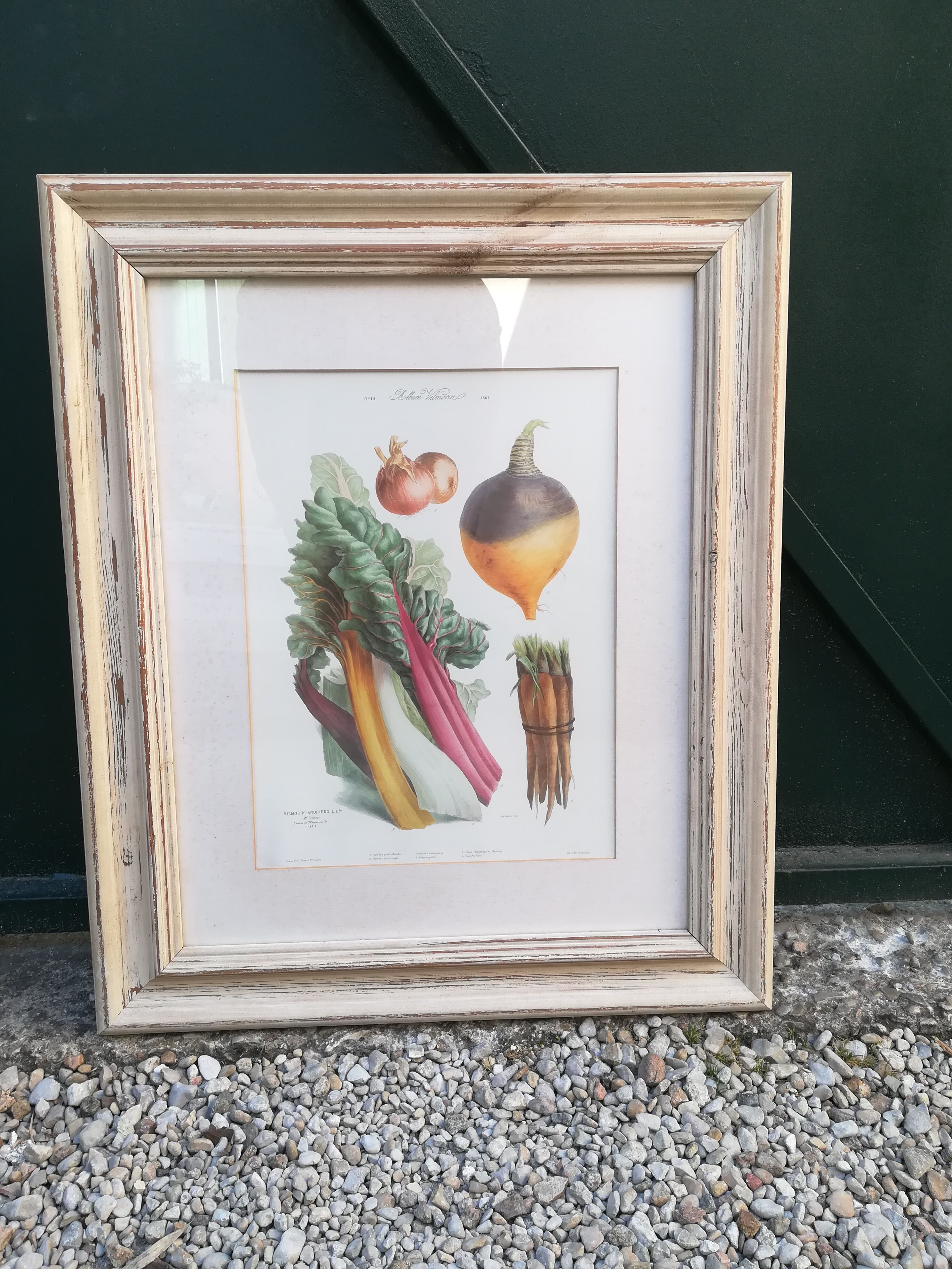 Framed botanical plank, vegetables