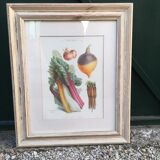Framed botanical plank, vegetables