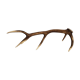 Deer Boix